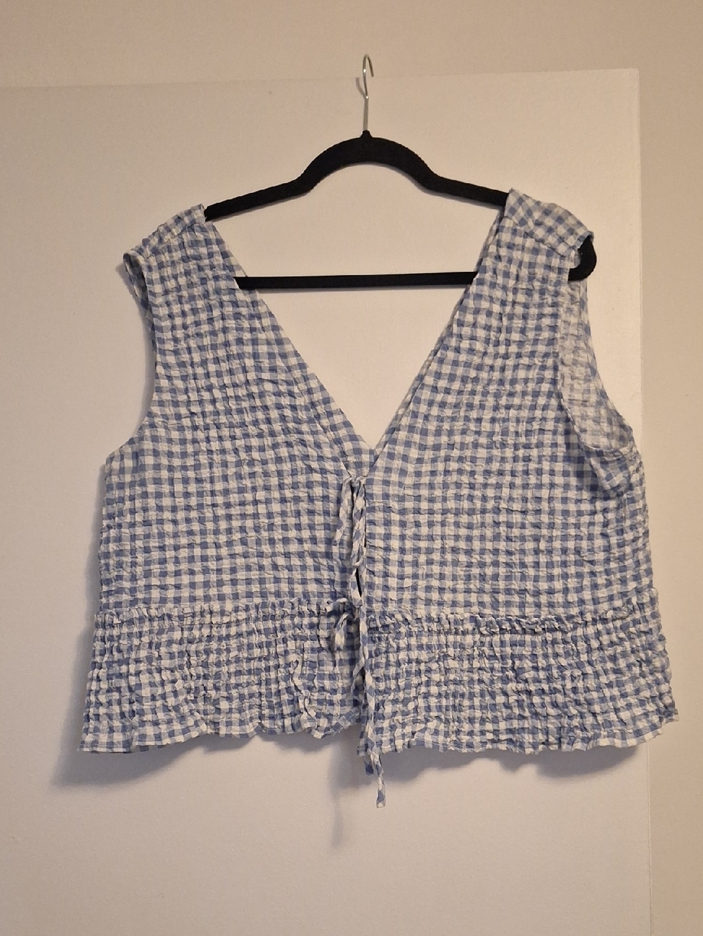 Zara Blue and White Gingham Tie-Front Sleeveless Top